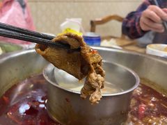 -金鼎雪山牦牛杂火锅(理县总店)