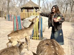 -水上乐园·欢乐世界