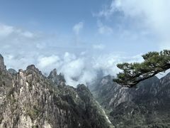-黄山风景区