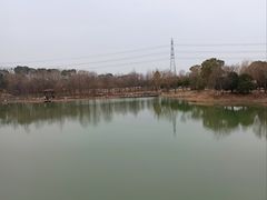 -梁鸿国家湿地公园