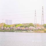 “啡”尝大良 │ 顺峰山公园里飘出浓浓咖啡香 