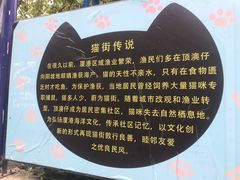 -宝旺姜母鸭(顶澳仔猫街店)