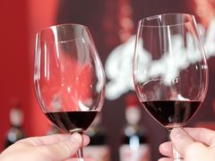 -成都尼依格罗酒店
