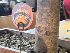 -同仁四季椰子鸡(宝安壹方城店)