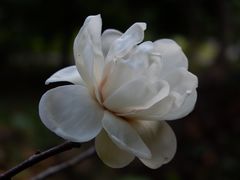 -华南国家植物园-售票处