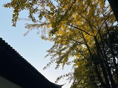 -西园戒幢律寺