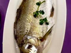 清蒸白水鱼-张福记(陇海中路店)