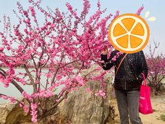 -盛世南宫影视城(北普陀影视城)