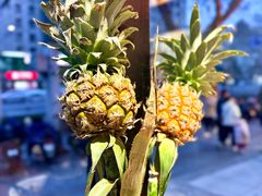 -囿面传统制面馆(中央路店)