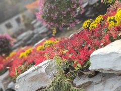 -香山公园-东宫门售票处