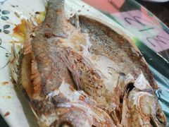 -石岐乳鸽村(南海第三分店)