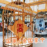 成都/必打卡景点——宽窄巷子