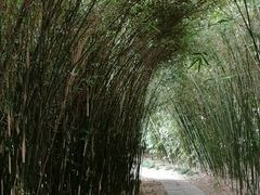 -苏州河梦清园环保主题公园