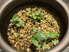 -瓦舍茶馆(聚源路店)