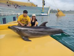 -秦皇岛乐岛海洋王国