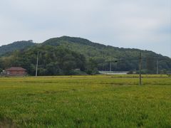 -上海佘山国家森林公园天马山园