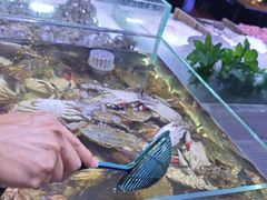 -聚盛源蒸汽海鲜火锅烤肉自助(巨川金海岸购物广场店)