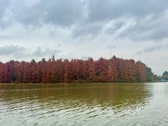 -上海海湾国家森林公园