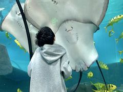 -福州罗源湾海洋世界旅游区