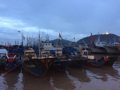 沈家门海鲜夜排档5号-沈家门海鲜夜排档(东港店)