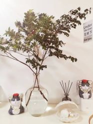 -美肤盾祛痘·问题肌头疗管理中心