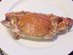 -南湖名都·景湖轩全日制餐厅·海鲜自助·东南亚风味·临湖而食