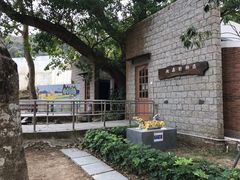 -石排湾郊野公园