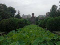-四川大学(望江校区)
