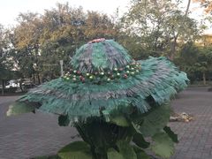 -森波拉火山温泉