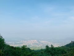 -阳台山自然风景区