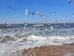 -威海国际海水浴场旅游区