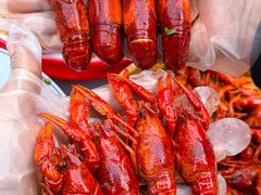 -波锅卤虾·王牌卤虾(汉阳店)