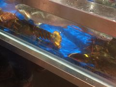 -盒马鲜生(莱蒙都会店)