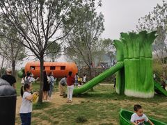 -西部长青自然儿童乐园