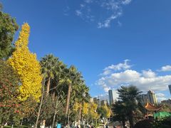 -洛龙公园