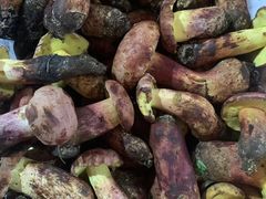 -野菌园·野生菌火锅首创第一家(关兴路总店)