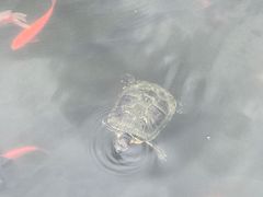 -宁波市保国寺古建筑博物馆