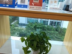 -Eziwish眼镜·蔡司授权店