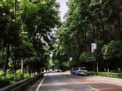 -铁山坪森林公园