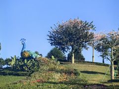 -东莞植物园