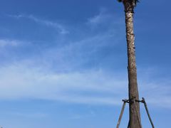 -碧海金沙