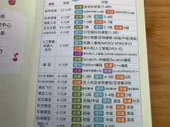 -中国宋庆龄青少年科技文化交流中心