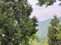 -香山公园