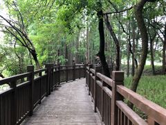 -东湖落雁景区