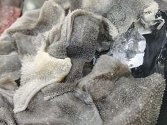 -铜元老码头鳝鱼火锅