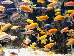 -太平洋海底世界