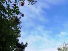 -青岛第三海水浴场