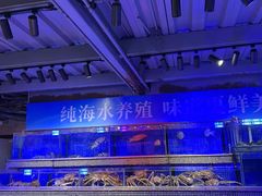 -青蓬蒸汽海鲜·深圳老字号·团建聚会(壹方城店)