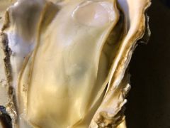 -千岛蚝高压锅生蚝·人参火锅(白云万达店)