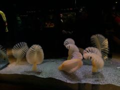 -西雅图水族馆